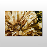 Gül Kurumuş  Kanvas Tablo