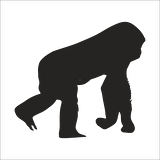 MAYMUN  FOLYO STİCKER