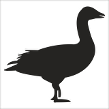 ÖRDEK FOLYO STİCKER