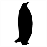 PENGUEN  FOLYO STİCKER