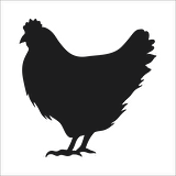 TAVUK  FOLYO STİCKER