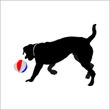 TOP OYNAYAN KÖPEK FOLYO STİCKER