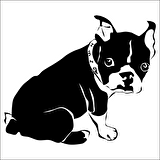 YAVRU KÖPEK FOLYO STİCKER