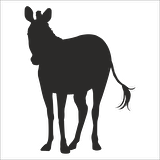 ZEBRA  FOLYO STİCKER