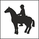 BİNİCİ FOLYO STİCKER