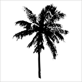 AĞAÇ VE GÜL RESİMLERİ