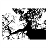 AĞAÇ VE GÜL RESİMLERİ