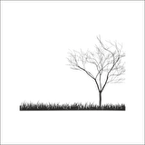 AĞAÇ VE GÜL RESİMLERİ