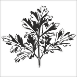 AĞAÇ VE GÜL RESİMLERİ