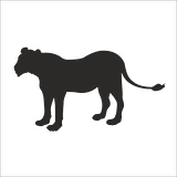 ASLAN FOLYO STİCKER