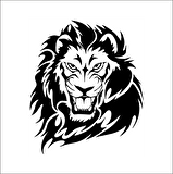 ASLAN FOLYO STİCKER