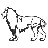 ASLAN FOLYO STİCKER