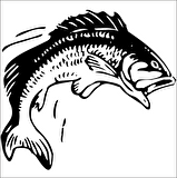 BALIK FOLYO STİCKER