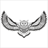 BAYKUŞ FOLYO STİCKER