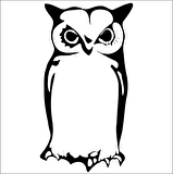 BAYKUŞ FOLYO STİCKER