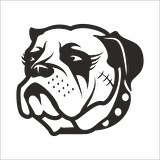 BULDOK KÖPEK FOLYO STİCKER