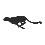 ÇİTA FOLYO STİCKER