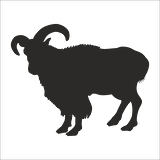 DAĞ KEÇİSİ  FOLYO STİCKER