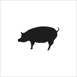 DOMUZ  FOLYO STİCKER