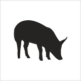 DOMUZ  FOLYO STİCKER