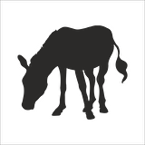 EŞEK  FOLYO STİCKER