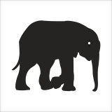 FİL  FOLYO STİCKER