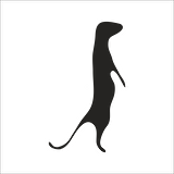 GELİNCİK FOLYO STİCKER