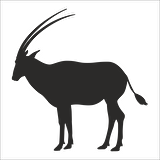 GEYİK FOLYO STİCKER