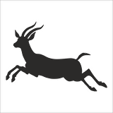 GEYİK FOLYO STİCKER