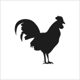 HOROZ FOLYO STİCKER