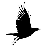 KARGA FOLYO STİCKER