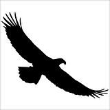 KARTAL  FOLYO STİCKER