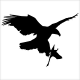 KARTAL FOLYO STİCKER