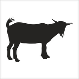 KEÇİ  FOLYO STİCKER