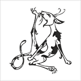 KEDİ  FOLYO STİCKER