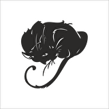 KEDİ  FOLYO STİCKER