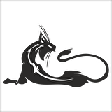 KEDİ  FOLYO STİCKER