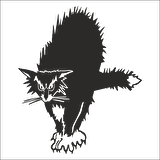 KEDİ  FOLYO STİCKER