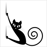 KEDİ  FOLYO STİCKER