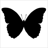 KELEBEK FOLYO STİCKER