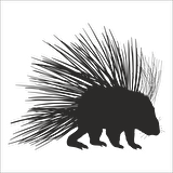 KİRPİ  FOLYO STİCKER