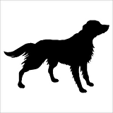 KÖPEK FOLYO STİCKER