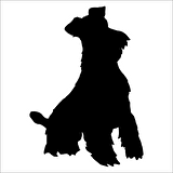 KÖPEK FOLYO STİCKER