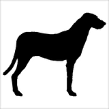 KÖPEK FOLYO STİCKER