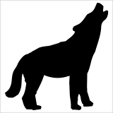 KÖPEK FOLYO STİCKER