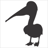 KUŞ FOLYO STİCKER