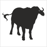 MANDA  FOLYO STİCKER