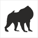 MAYMUN  FOLYO STİCKER