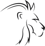 ASLAN 5 FOLYO STİCKER