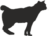 KEDİ FOLYO STİCKER